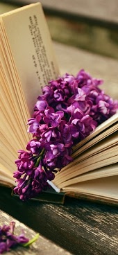 Purple flowers aligned in the spine of a book