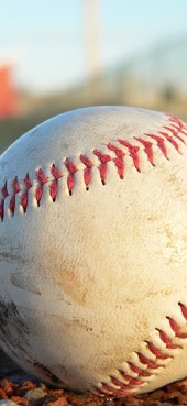 Picture of a baseball