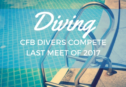 Divers Wrap Up 2017