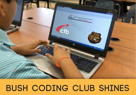 Bush Coding Club Shines