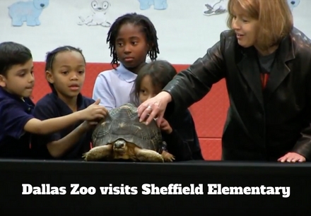 Dallas Zoo Visits Sheffield Elementary