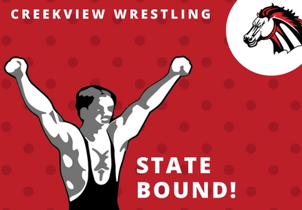 CHS Wrestlers Are State Qualifiers