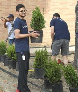 Capital One Employees Volunteer to Beautify Field Campus