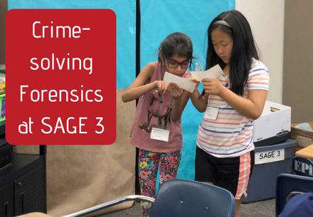 Forensics at SAGE 3 Carrollton-Farmers Branch ISD