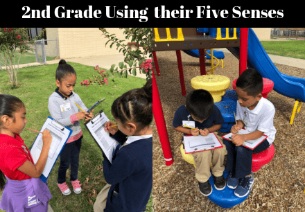 2nd Grade Using their Five Senses