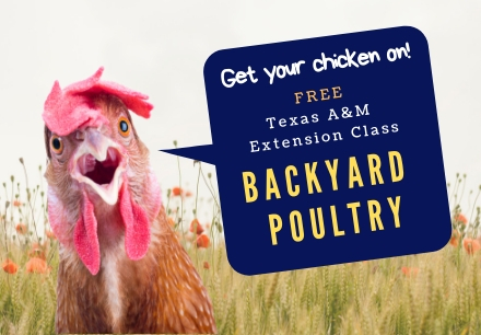 RLT FFA Hosts Backyard Poultry Seminar